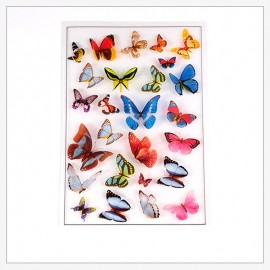 IMAGES PAPILLONS POUR INCLUSION RESIN EPOXY