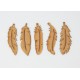 PLUMES OISEAUX EN BOIS 5 PIECES