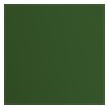 PAPIER UNI COLORIS PINE VAESSEN CREATIVE