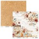 KIT ALBUM NATURE STRUCTURE PAPIERS ET EMBELLISSEMENTS