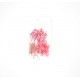 FLEURS SECHEES POUR INCLUSION RESINE EPOXY GRAND ROSE