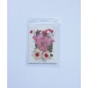 FLEURS SECHEES POUR INCLUSION RESINE EPOXY BLANC ET PETITES ROSE