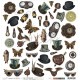 KIT ALBUM PHOTOS A PERSONNALISER STEAMPUNK ET PAPIERS