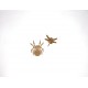 ARAIGNEE ET LIBELLULE STEAMPUNK EN BOIS