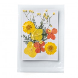 FLEURS SECHEES 4 MODELES COLORIS JAUNE ORANGE PLANCHE 8 CM X 11 CM