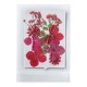FLEURS SECHEES 3 MODELES COLORISROUGE PLANCHE 8 CM X 11 CM