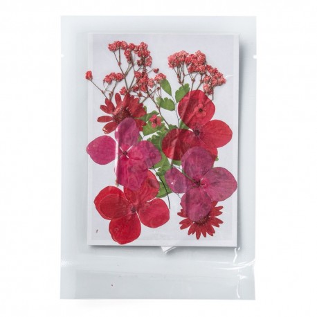 FLEURS SECHEES 3 MODELES COLORISROUGE PLANCHE 8 CM X 11 CM