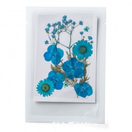 FLEURS SECHEES 3 MODELES COLORIS BLEU PLANCHE 8 CM X 11 CM