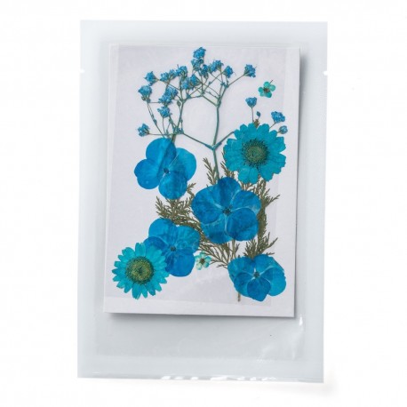 FLEURS SECHEES 3 MODELES COLORIS BLEU PLANCHE 8 CM X 11 CM