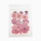 FLEURS SECHEES 4 MODELES COLORIS ROSE