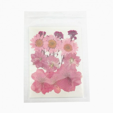 FLEURS SECHEES 4 MODELES COLORIS ROSE