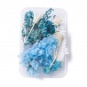 FLEURS SECHEES BOITE 11.5 CM X 16.5 CM COLORIS BLEU CREME