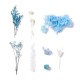 FLEURS SECHEES BOITE 11.5 CMX 16.5 CM COLORIS BLEU CREME