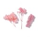 FLEURS SECHEES BOITE 11.5 CM X 16.5 CM COLORIS VIEUX ROSE