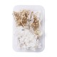 FLEURS SECHEES BOITE 11.5 CM X 16.5 CM COLORIS CREME