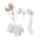 FLEURS SECHEES BOITE 11.5 CM X 16.5 CM COLORIS CREME