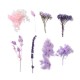 FLEURS SECHEES BOITE 11.5 CM X 16.5 CM COLORIS VIOLET MAUVE ROSE