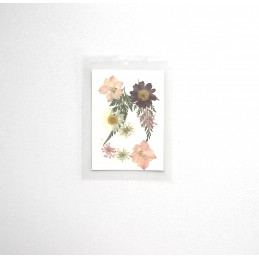 FLEURS SECHEES 4 MODELES COLORIS VIOLET ROSE CREME PLANCHE 8 CM X 11 CM