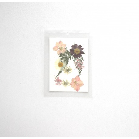 FLEURS SECHEES 4 MODELES COLORIS VIOLET ROSE CREME PLANCHE 8 CM X 11 CM
