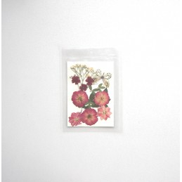 FLEURS SECHEES 4 MODELES COLORIS BORDEAUX PAPILLON