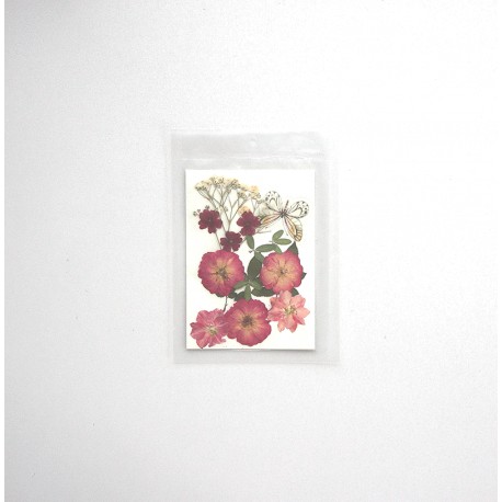 FLEURS SECHEES 4 MODELES COLORIS BORDEAUX PAPILLON