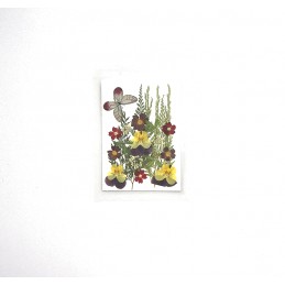FLEURS SECHEES VIOLETTES PAPILLON PLANCHE 9.5 CM X 13.5 CM