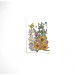 FLEURS SECHEES TOURNESOLS PAPILLON PLANCHE 9.5 CM X 13.5 CM