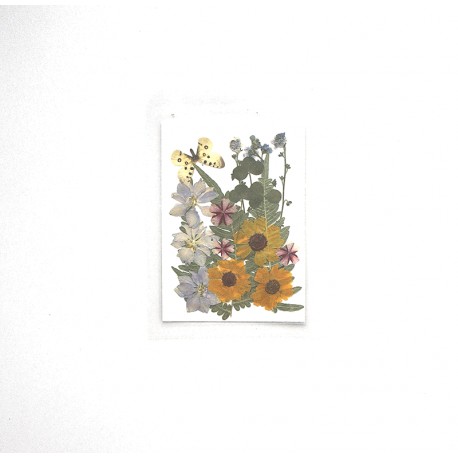 FLEURS SECHEES TOURNESOLS PAPILLON PLANCHE 9.5 CM X 13.5 CM