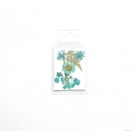 FLEURS SECHEES MINIS COLORIS BLEU PLANCHE 6 CM X 7.5 CM