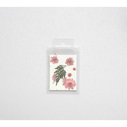 FLEURS SECHEES MINIS COLORIS ROSE PLANCHE 6 CM X 7.5 CM
