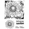 TAMPONS TRANSPARENTS WOODWARE SUNFLOWER SKETCH