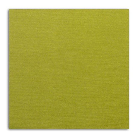 TOGA MAHE PAPIER UNI VERT MOUSSE PE 44