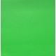 PAPIER UNI VERT VIF SCRAPBERRY&amp;amp;#039;S REF 201213