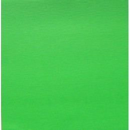 PAPIER UNI VERT VIF SCRAPBERRY'S REF 201213