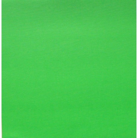 PAPIER UNI VERT VIF SCRAPBERRY&amp;amp;#039;S REF 201213