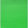 PAPIER UNI VERT VIF SCRAPBERRY'S REF 201213