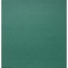 PAPIER UNI VERT FORET SCRAPBERRY'S