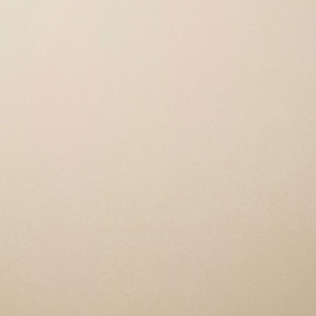 PAPIER UNI COLORIS COOL GREY 2926082 VAESSEN CREATIVE